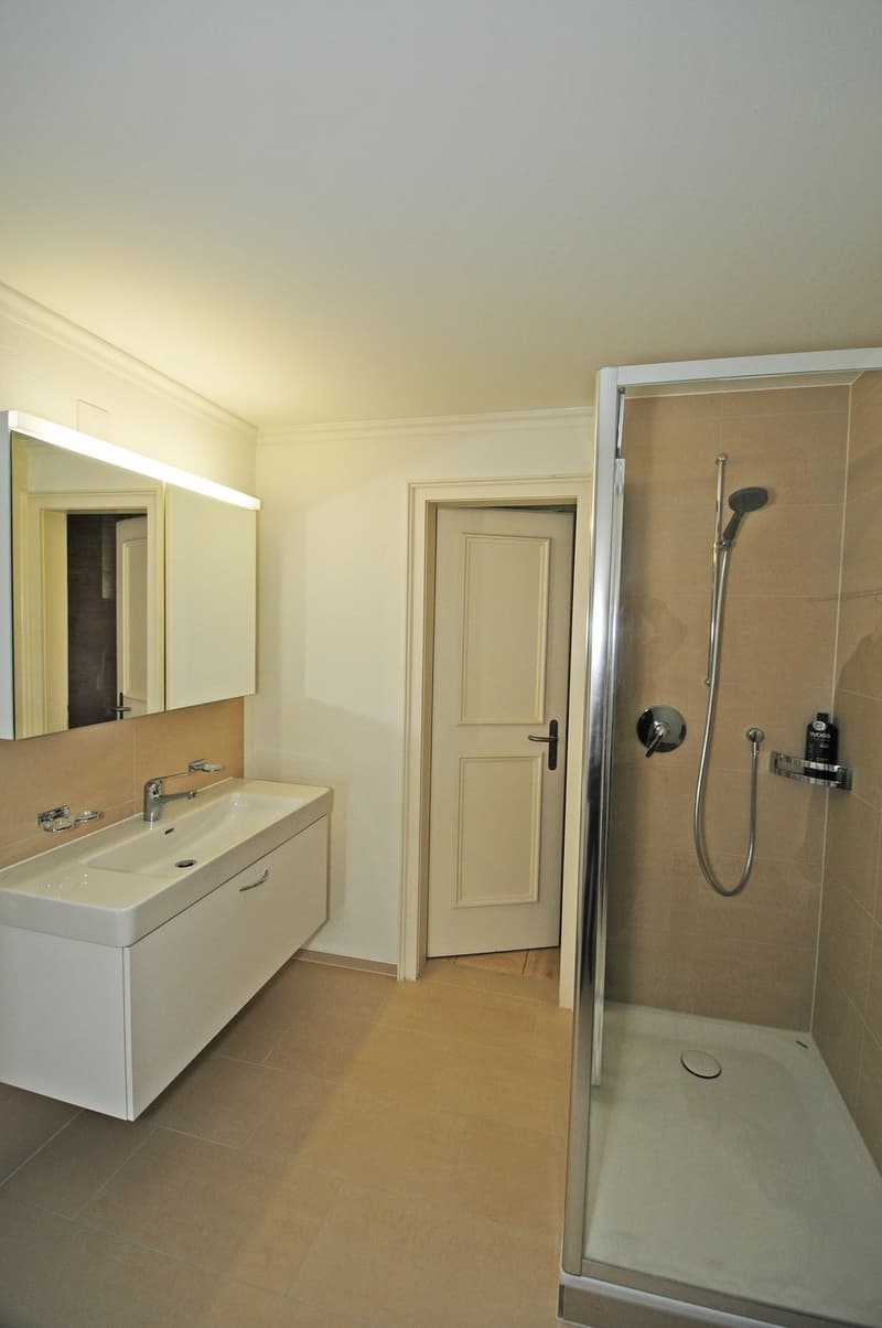 Schöne 2.5- Zimmerwohnung mit direkter Sicht auf den Zürichsee (3)