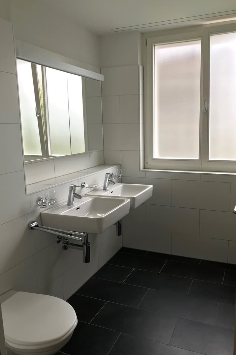 Grosszügige Gartenwohnung bei Naherholungsgebiet Reuss (4)