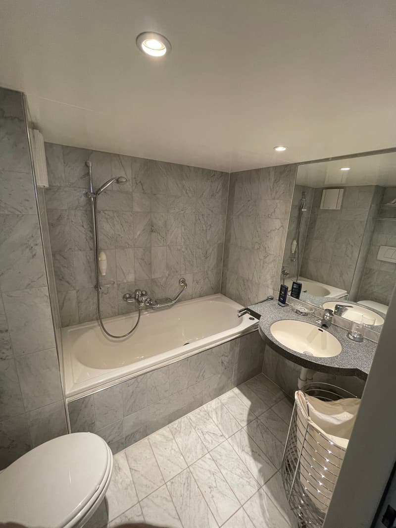 Bathroom: bathtub, shower, toilet, sink, mirror, storage basket, marble tiles, ceiling light