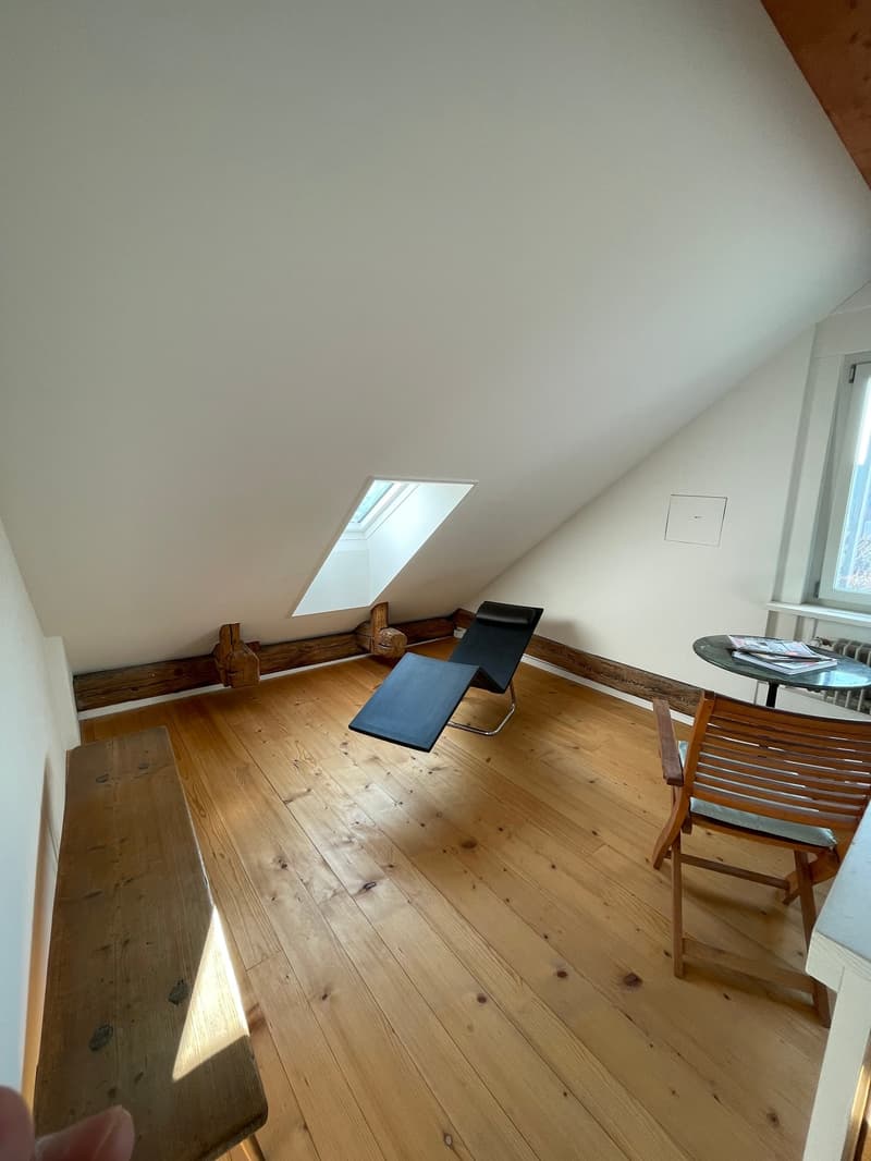 ample room, wooden floor, exposed beams, chair, bench, skylight
