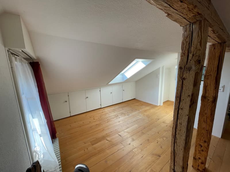 white cupboards, wooden floor, attic room, skylight