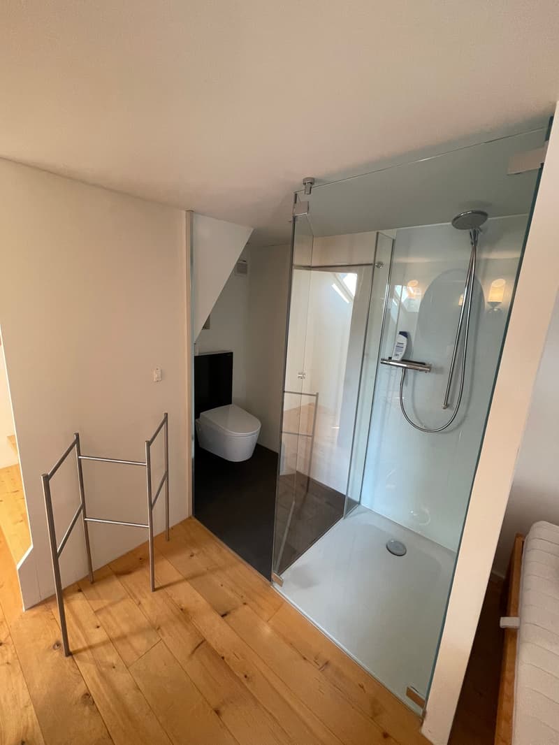 glass shower cubicle, toilet, wooden floor