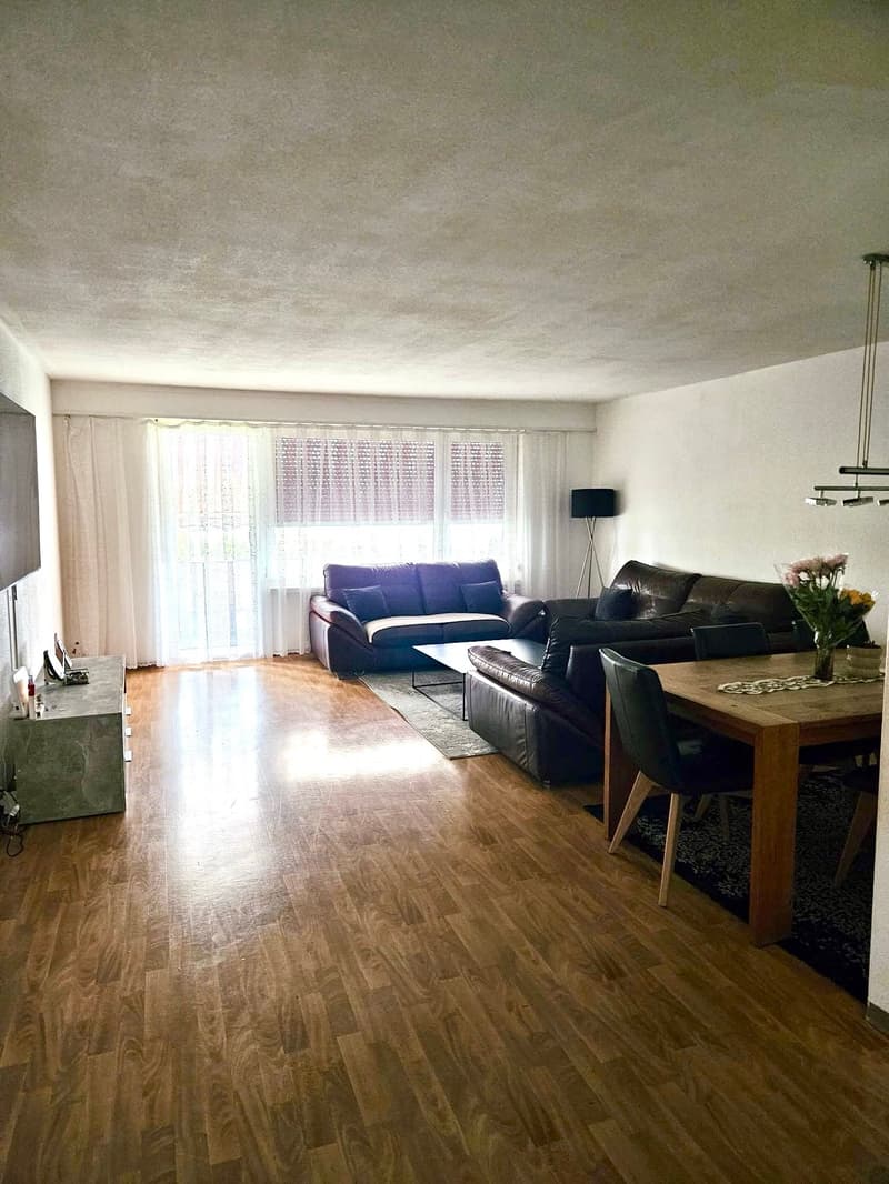 Grosszügige Wohnung an ruhiger Lage (5)