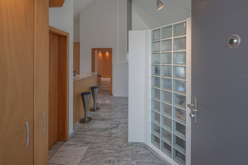 Charmante 2.5-Zimmer-Attikawohnung mit Terrasse in Uitikon (3)