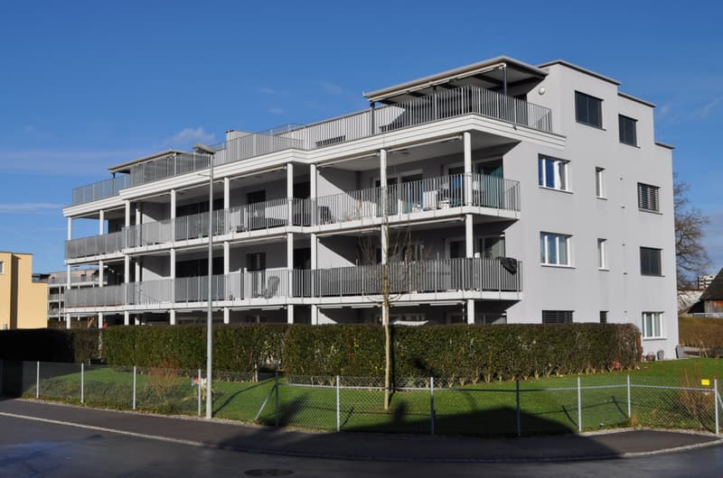 Schöne Wohnung mit grossem Balkon (8)