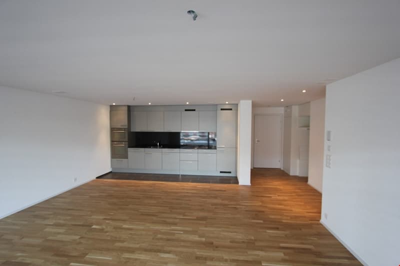 Schöne Wohnung mit grossem Balkon (3)