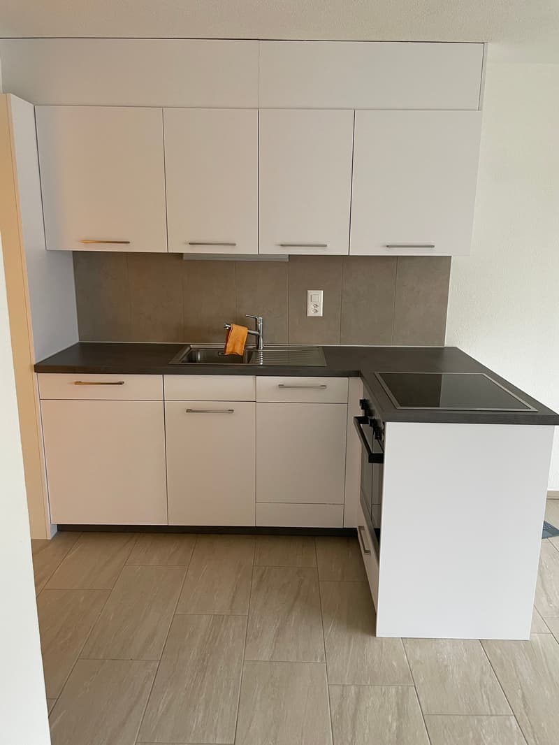 Grosszügige und ruhige Wohnung (4)