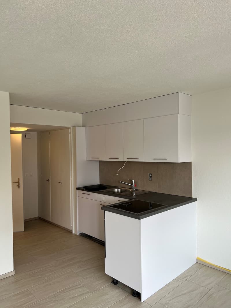 Grosszügige und ruhige Wohnung (3)