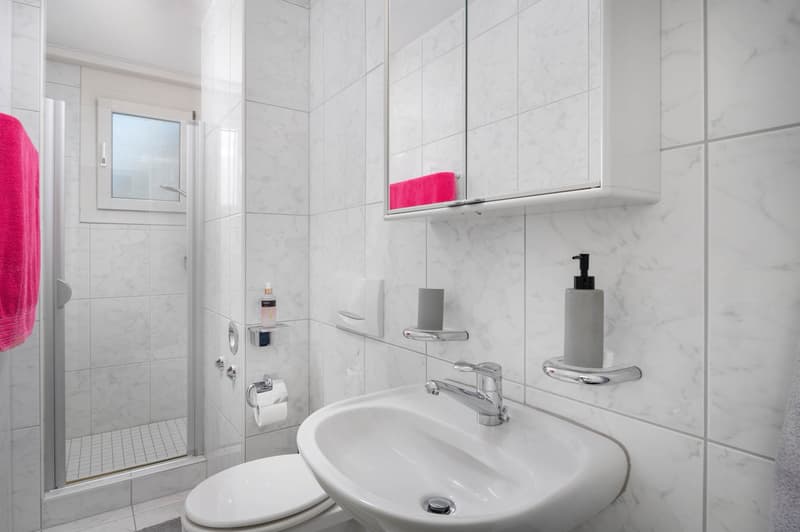 Sensationelle Dachwohnung an bevorzugter Lage! (5)