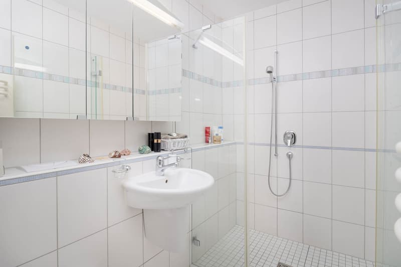 Traumhafte Attika-Terrassenwohnung... (8)