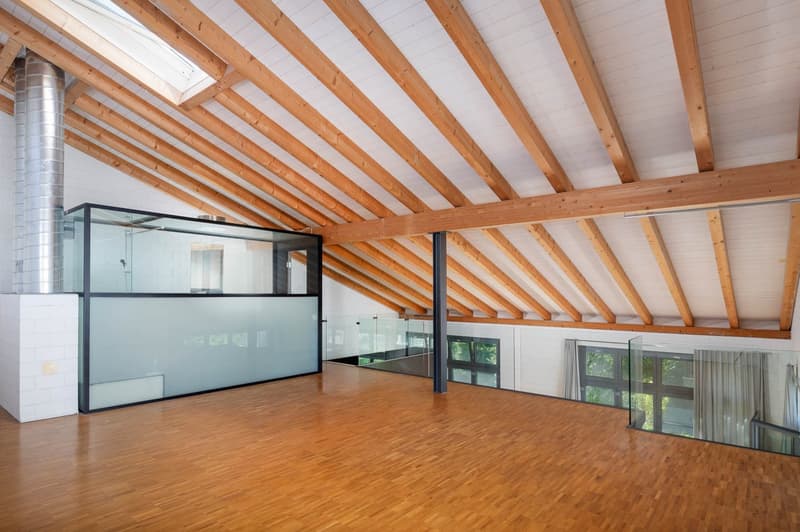 Loft-Wohnung an bester Lage! (15)