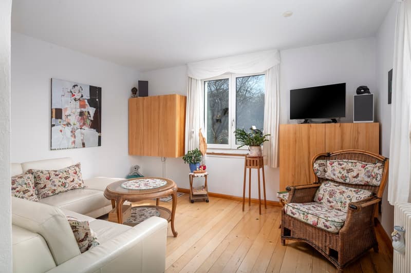Charmantes Einfamilienhaus mit grossem Garten! (6)