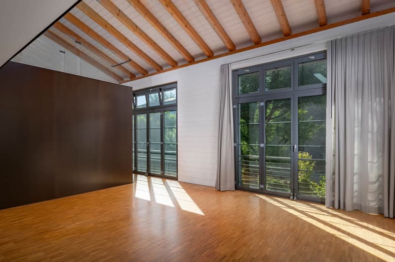 Loft-Wohnung an bester Lage! (10)