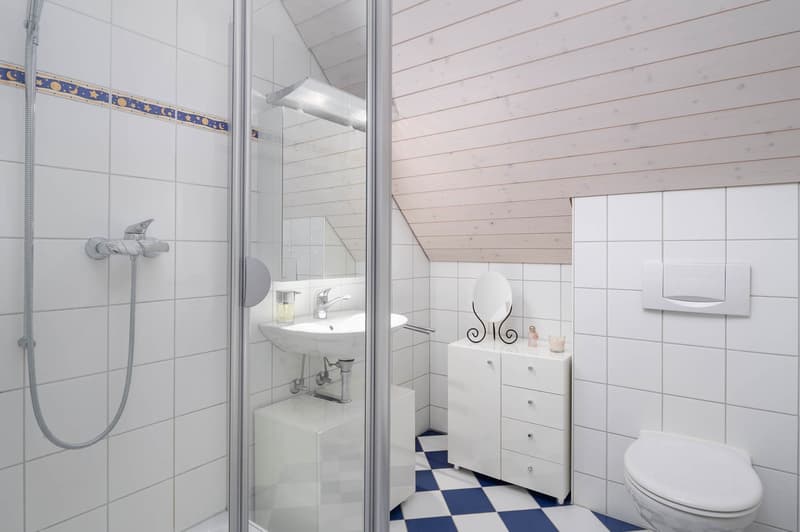 Charmante 6.5-Zimmer-Dachmaisonette mit Cheminée & Weitsicht (11)