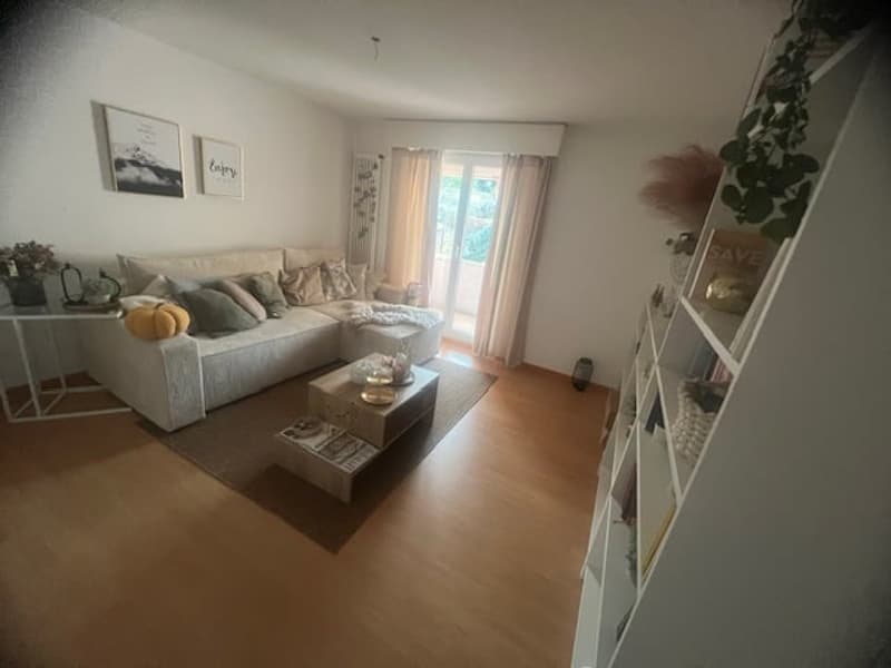 Living room, white sofa, coffee table, rug, white shelving unit, two picture frames, sliding glass door leading to balcony, plants