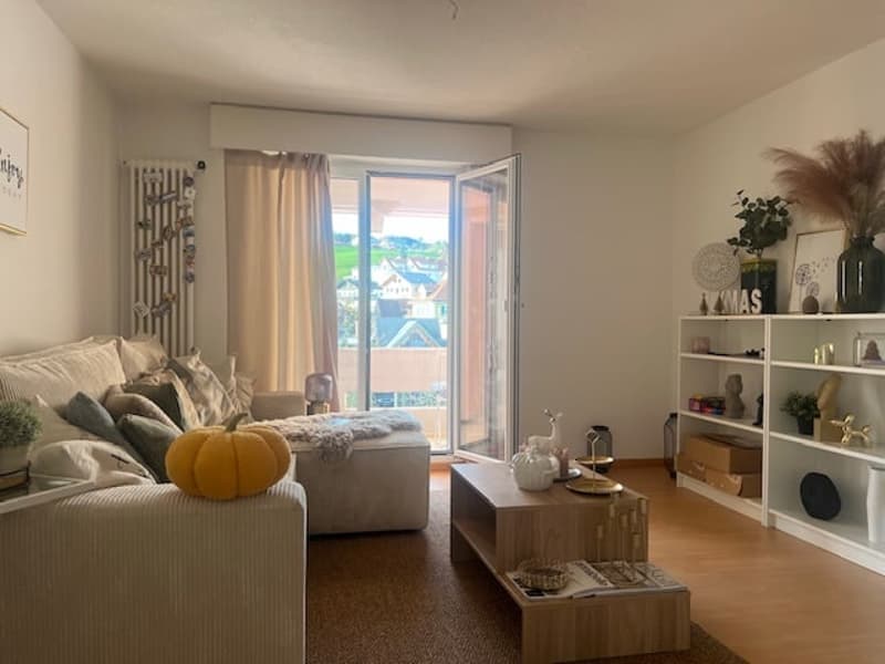 renovierte, sonnige 3.5-Zi-Wohnung mit sonnigem Balkon (4)