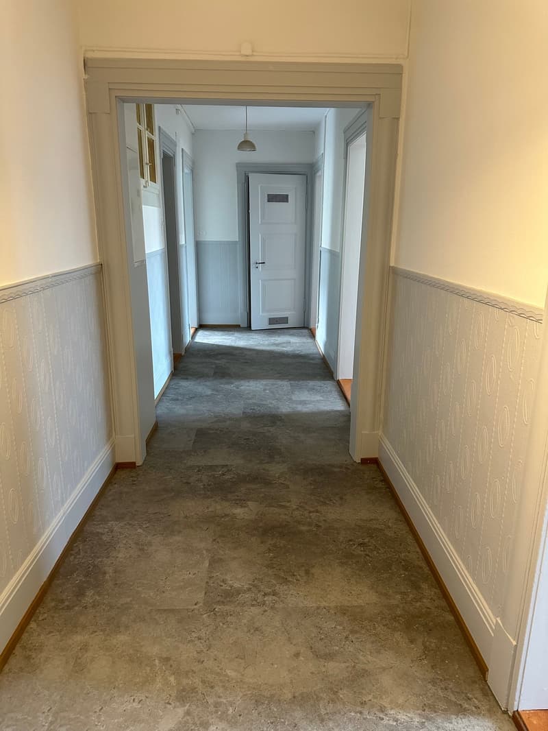 Grösszügige und gepflegte Wohnung nahe Zentrum (12)