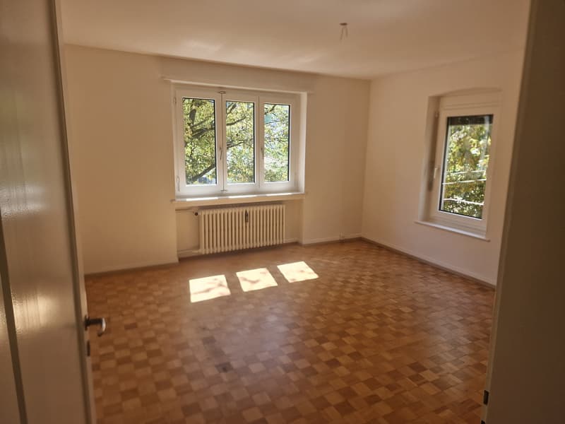 Wunderschöne 2 Zimmer Wohnung in Frauenfeld zur Miete (2)