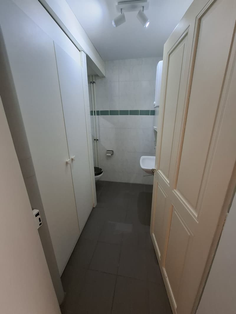 Super central, bright loft apartment available in Biel (3)