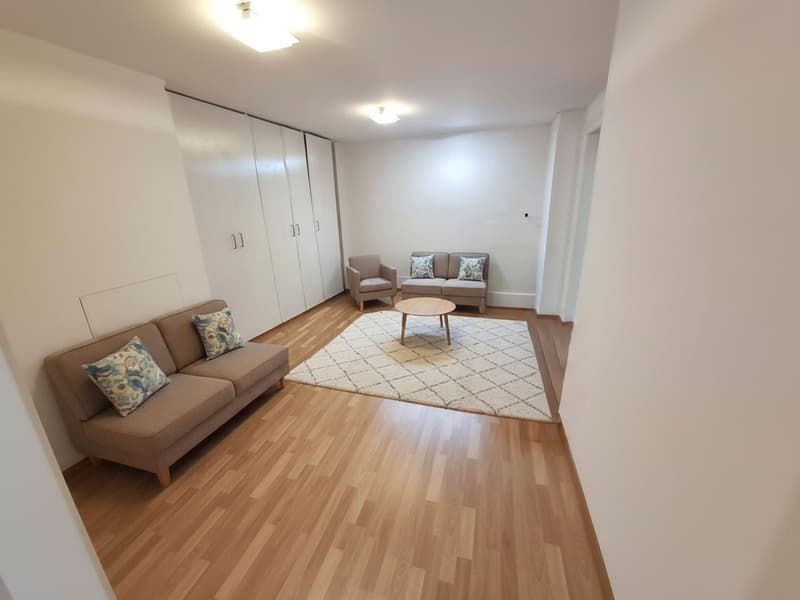 Super central, bright loft apartment available in Biel (2)