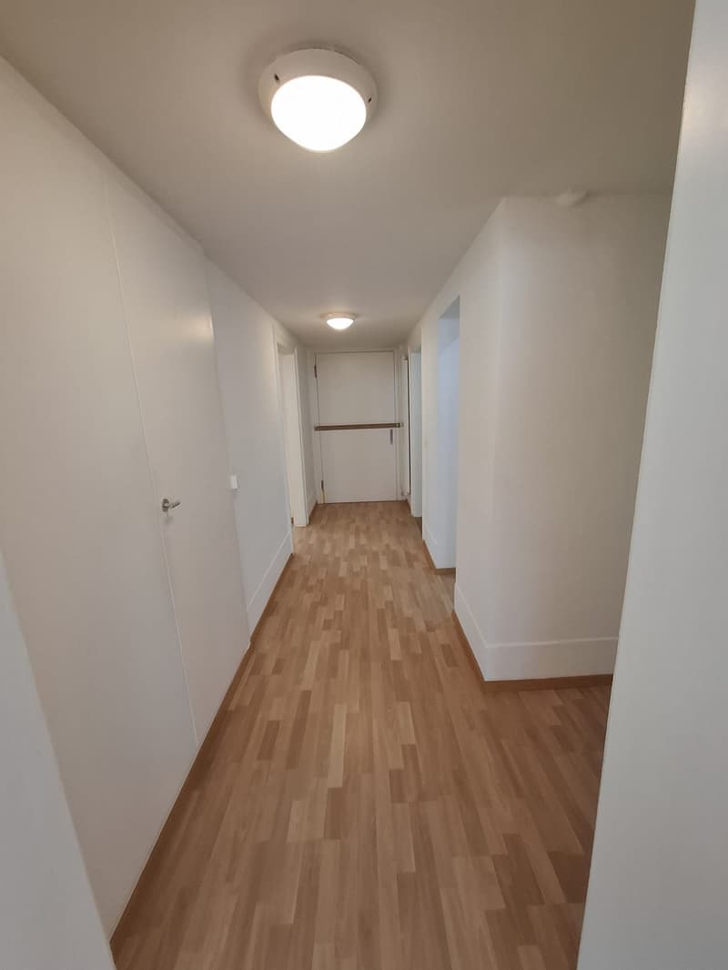 Super central, bright loft apartment available in Biel (5)
