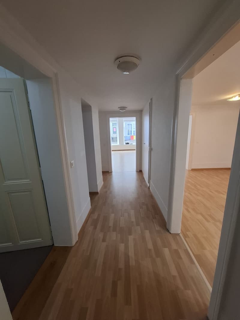 Super central, bright loft apartment available in Biel (7)
