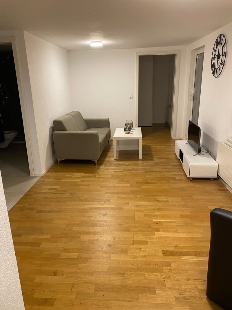 Charmante, möblierte 2-Zimmer-Wohnung mit Balkon in Rorschach (2)