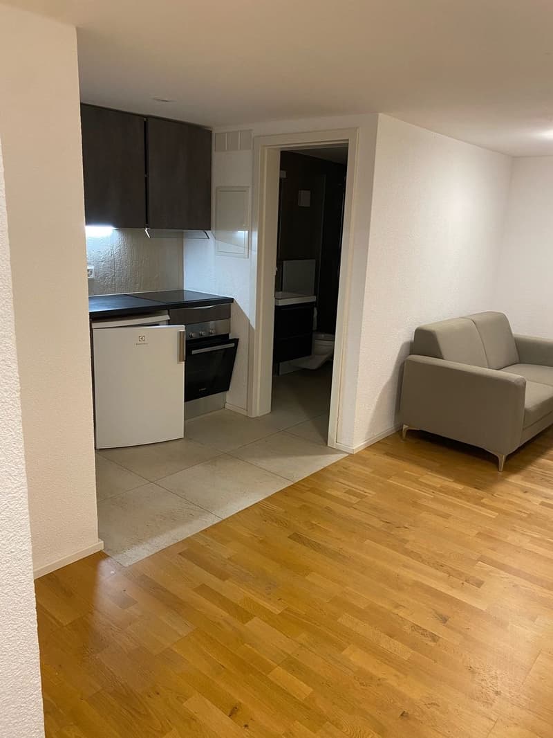 Charmante, möblierte 2-Zimmer-Wohnung mit Balkon in Rorschach (3)
