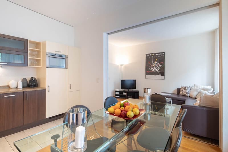 modern style, open to the living room, glass table with fruits, chairs, TV, sofa, lamp