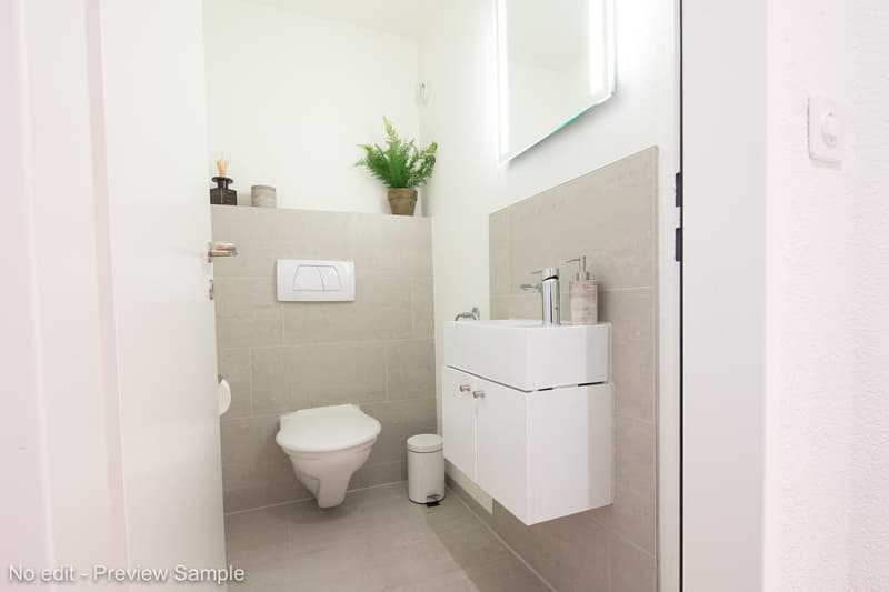 Compact bathroom with white toilet, vanity, and sink. Modern fixtures and a plant shelf.