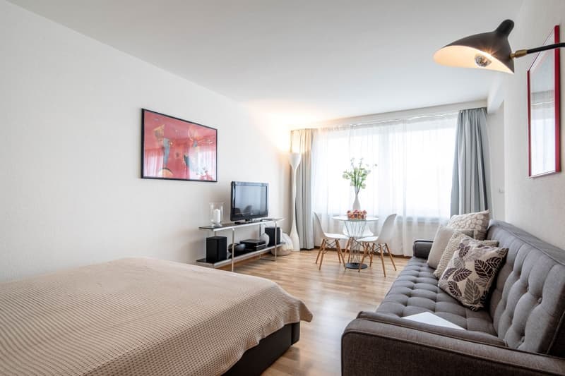 Furnished Studio Apartment in Zurich Wiedikon – Cleaning Service (6)