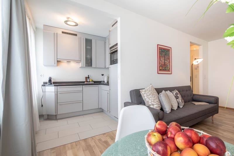 Furnished Studio Apartment in Zurich Wiedikon – Cleaning Service (3)