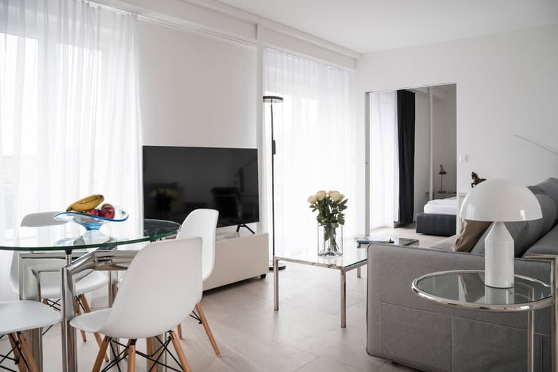 Charming 2.5-Room Attic Apartment with Balcony in Zürich Wiedikon (5)