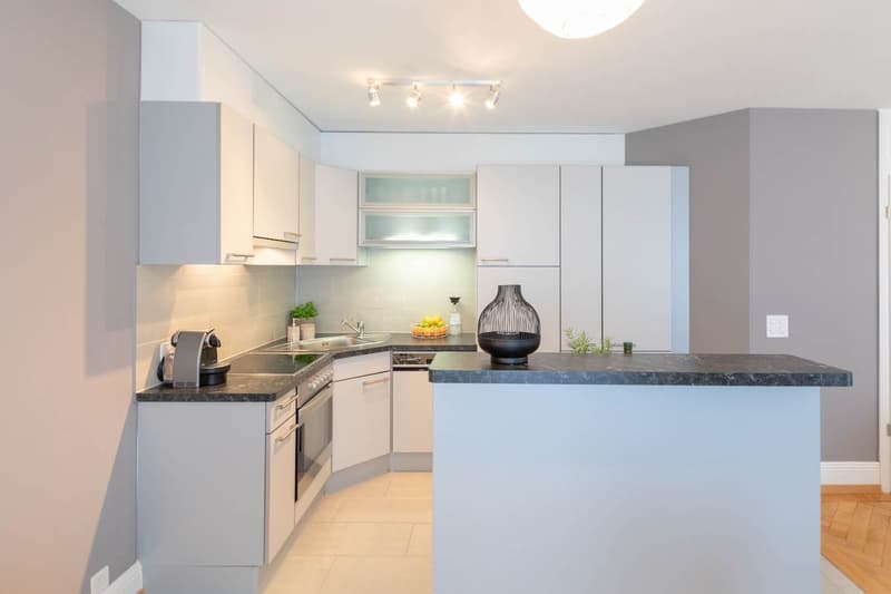 Spacious 1-bedroom apartment with balcony and weekly cleaning service for rent (3)