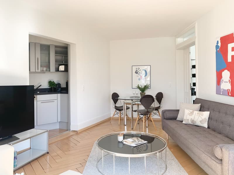 Spacious 1-bedroom apartment with balcony and weekly cleaning service for rent (5)