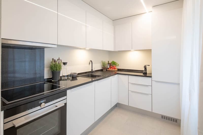Modern Furnished 2-Room Apartment with Balcony in Zürich Wiedikon (5)