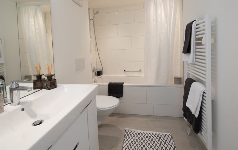 Modern Furnished 2-Room Apartment with Balcony in Zürich Wiedikon (7)