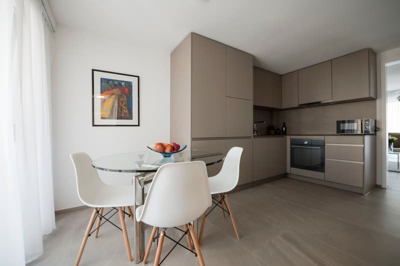 Furnished 1-Bedroom Apartment Zurich Wiedikon – central, Balcony & cleaning Servic (7)