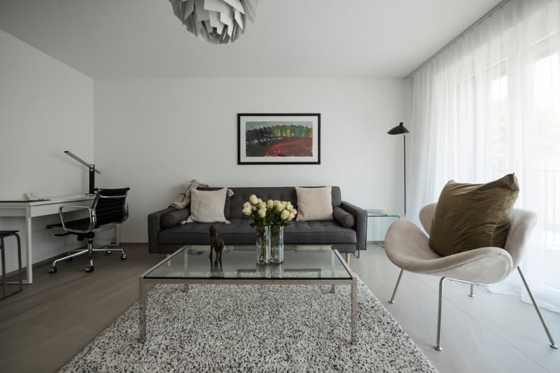 Furnished 1-Bedroom Apartment Zurich Wiedikon – central, Balcony & cleaning Servic (4)