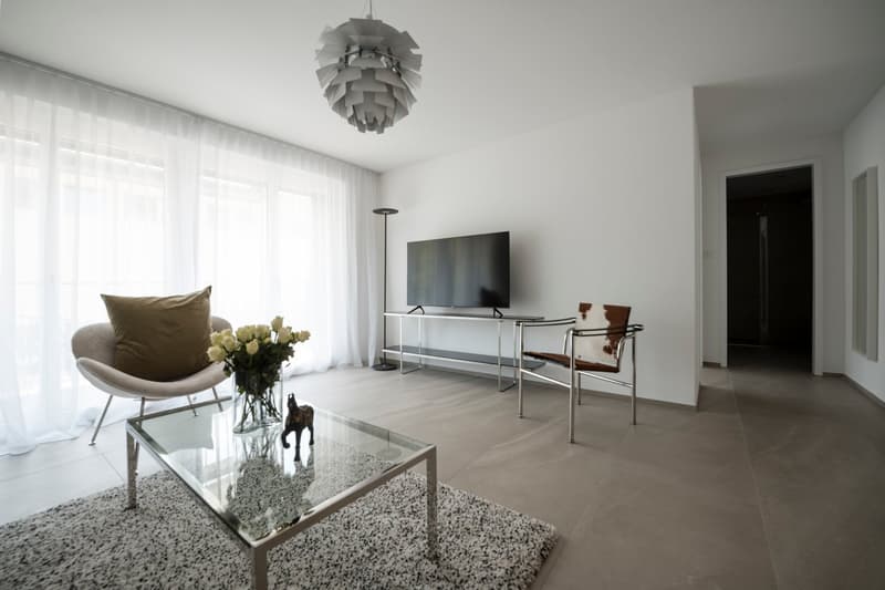 Furnished 1-Bedroom Apartment Zurich Wiedikon – central, Balcony & cleaning Servic (2)