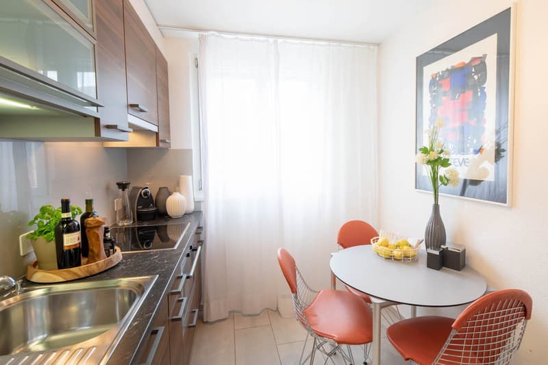 Modern Furnished 2-Room Apartment with Balcony in Zürich Wiedikon (3)