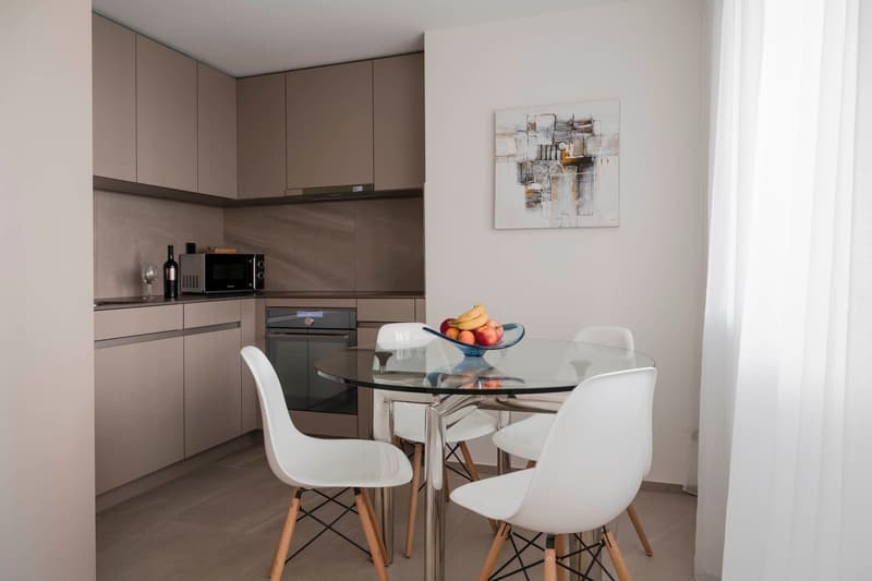 Furnished Studio Apartment Zurich Wiedikon – central, Balcony & cleaning Servic (6)
