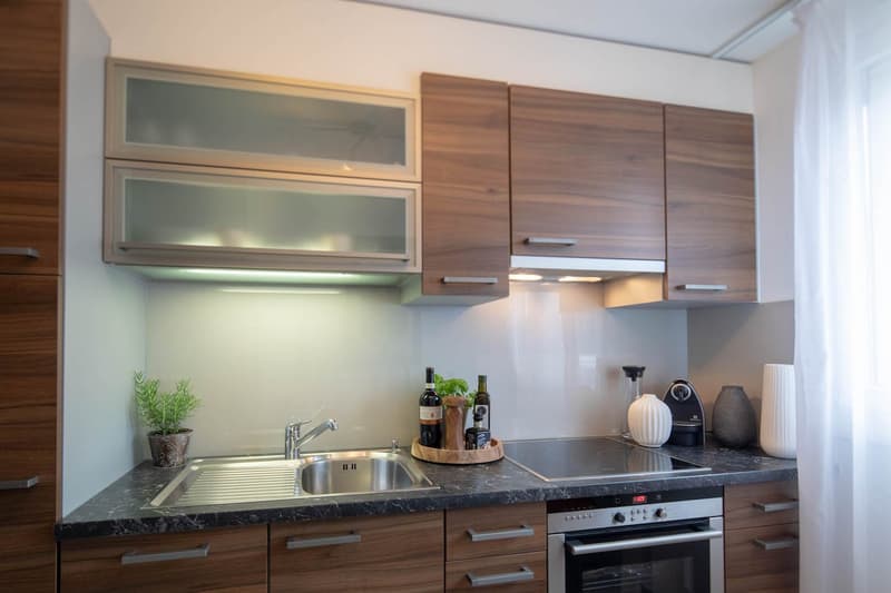 Modern furnished 2-Room Apartment in Zürich Wiedikon (2)