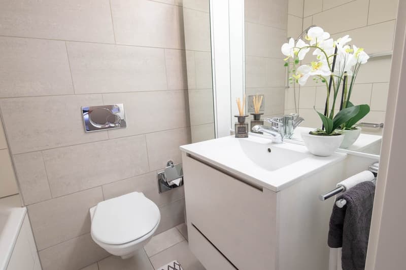 Modern furnished 2-Room Apartment in Zürich Wiedikon (4)