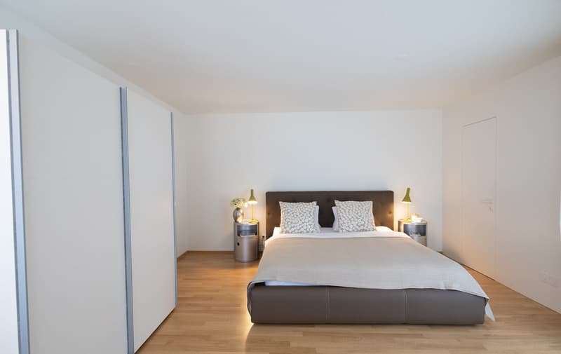 Modern Furnished 2-Room Penthouse Apartment with Balcony in Zürich Wiedikon (5)