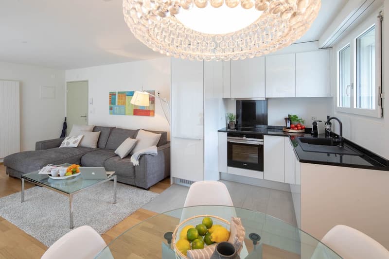 Modern Furnished 2-Room Penthouse Apartment with Balcony in Zürich Wiedikon (3)
