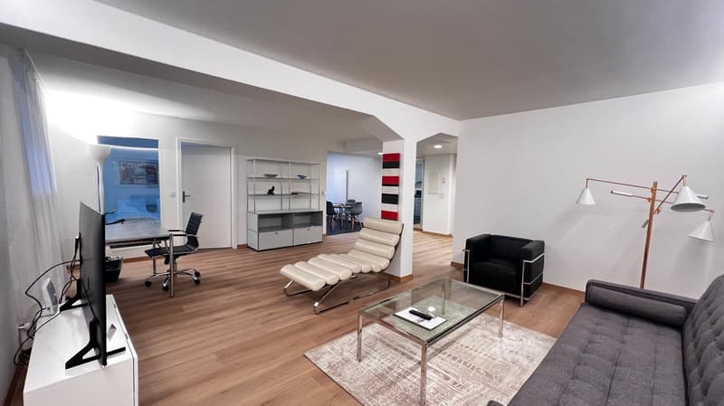 Appartamento 2.5 locali in affitto nel trendy Wiedikon (2)