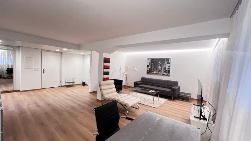 Appartamento 2.5 locali in affitto nel trendy Wiedikon (3)