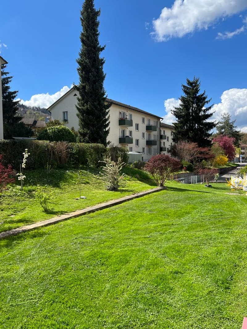 Charmante 2-Zimmerwohnung in Zürich-Albisrieden (6)