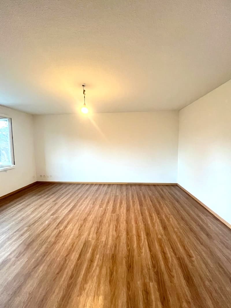 Gemütliche 1.5 Zimmerwohnung am Waldrand von Baden (3)
